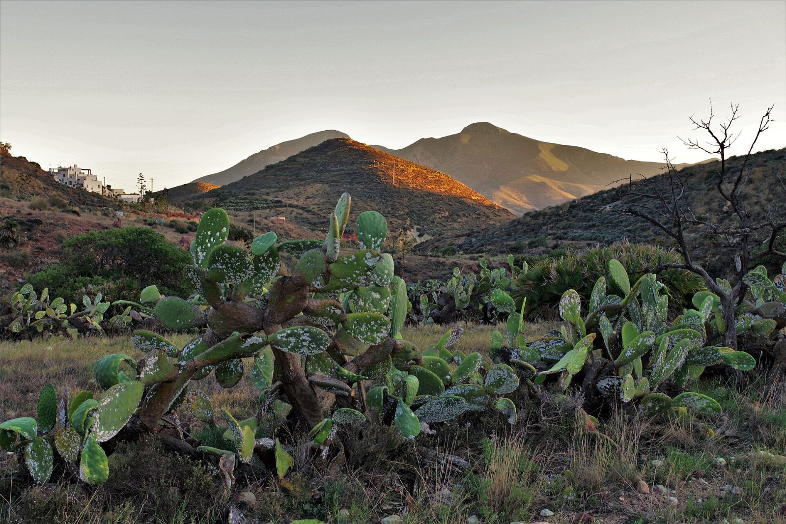 Parque Natural Cabo de Gata-Níjar