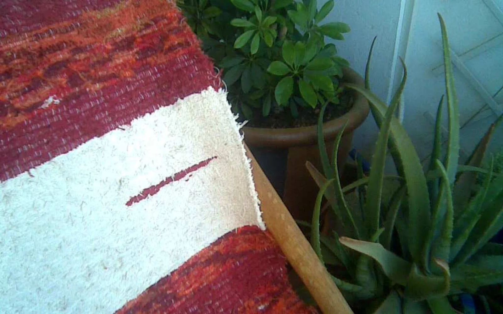 Jarapas y artesanía textil tradicional de Níjar